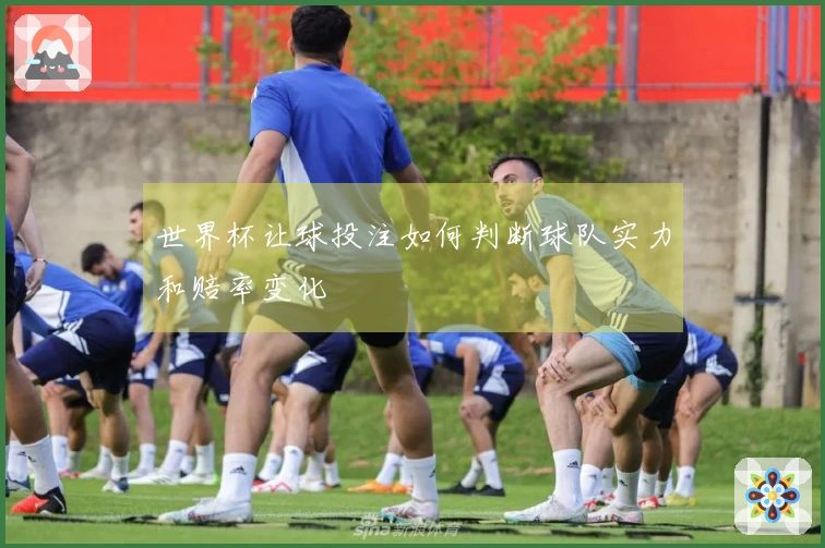 世界杯让球投注如何判断球队实力和赔率变化