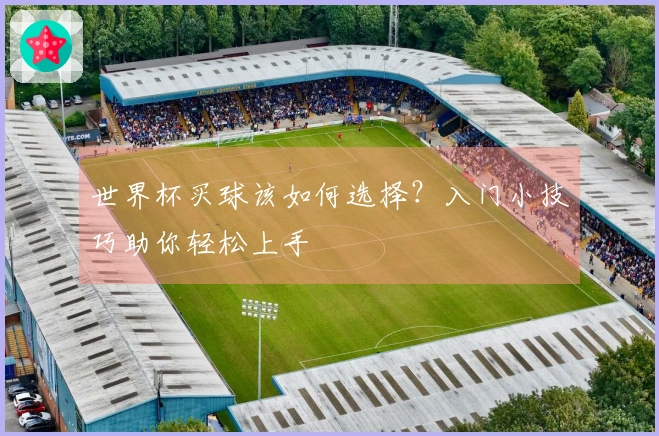 世界杯买球该如何选择？入门小技巧助你轻松上手