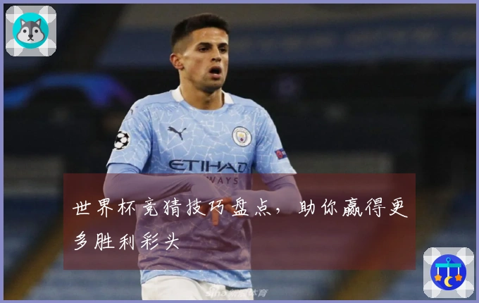 世界杯竞猜技巧盘点，助你赢得更多胜利彩头