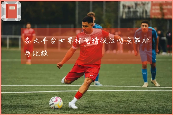 各大平台世界杯竞猜投注特点解析与比较
