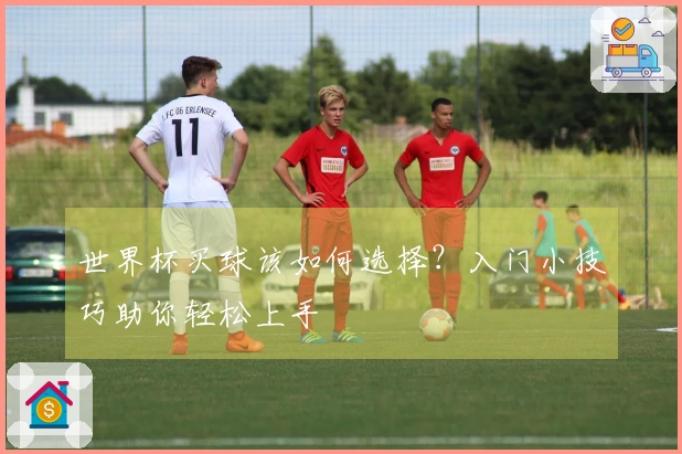 世界杯买球该如何选择？入门小技巧助你轻松上手