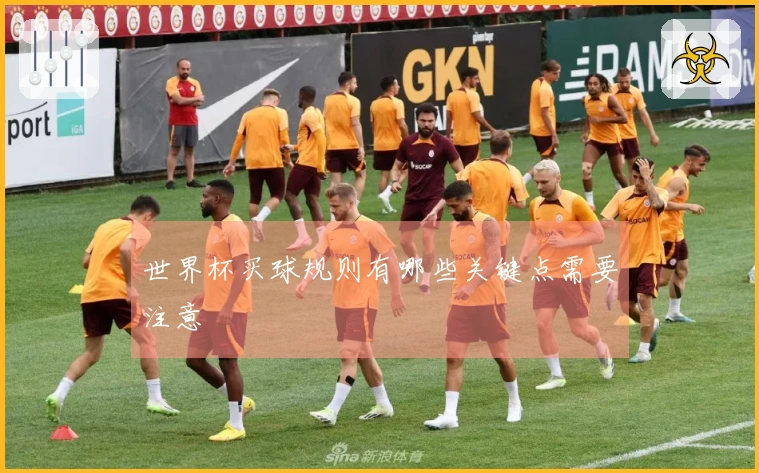 世界杯买球规则有哪些关键点需要注意