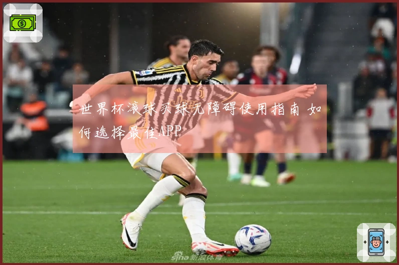 世界杯滚球买球无障碍使用指南 如何选择最佳APP