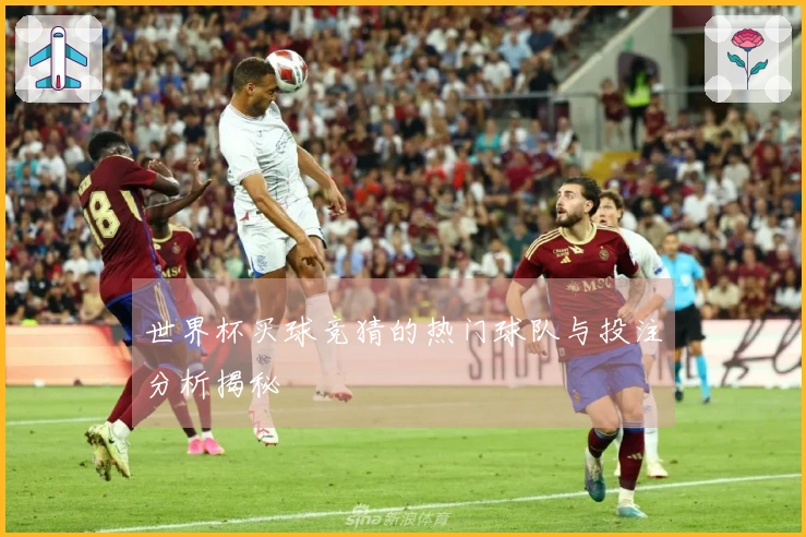 世界杯买球竞猜的热门球队与投注分析揭秘